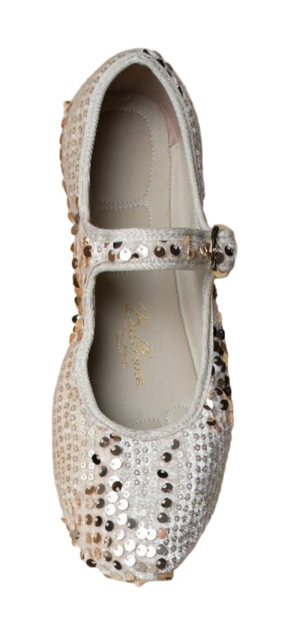 Metalic Sequin Light PortDance Indoor & Outdoor Ballerina Flat (Copy)